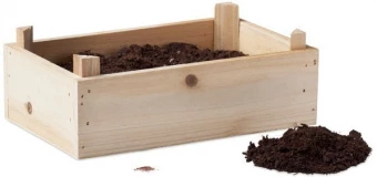 Tomati kasvatamise komplekt TOMATO