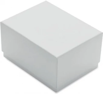 Ümmargune klaasist auhind  Glassward