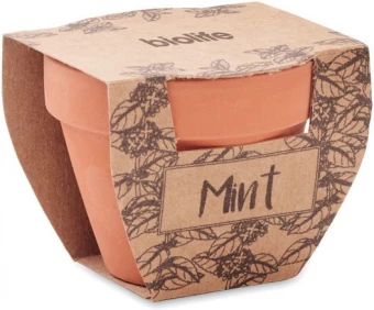 Ürdipott Mint Pot