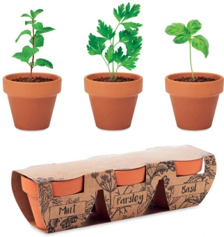 Ürdipottide komplekt