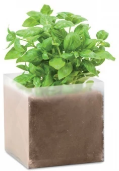 Compost with seeds "BASIL"