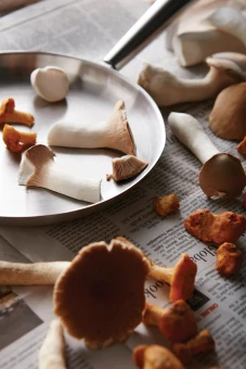 VINGA Vici Pannu ulkokäyttöön