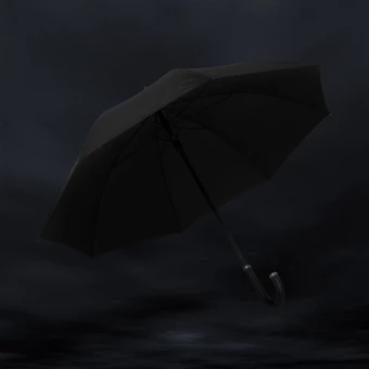 Vihmavari Swiss Peak Vero Aware™ RPET 25”