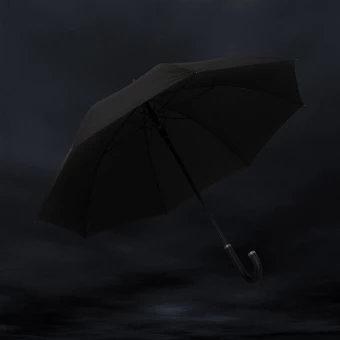 Vihmavari Swiss Peak Vero Aware™ RPET 25”