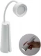 2-ühes laualamp ja taskulamp Torchlamp