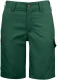 2529 Naiste lühikesed püksid
