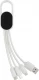 4-in-1 cable with carabiner clip