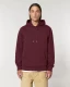Hupullinen collegepaita Cruiser 2.0