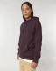 Hupullinen collegepaita Cruiser 2.0