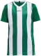 Laste spordisärk Progress Stripe JR