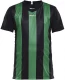 Laste spordisärk Progress Stripe JR