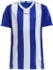 Laste spordisärk Progress Stripe JR