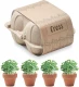 Lilleseemned Cress