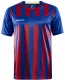 Meeste meeskonnasärk Progress