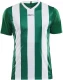 Meeste spordisärk Progress Stripe