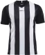 Meeste spordisärk Progress Stripe