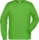 Men's classic sweatshirt with raglan sleeves