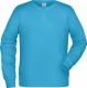 Men's classic sweatshirt with raglan sleeves