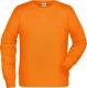 Men's classic sweatshirt with raglan sleeves