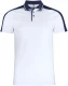 Pittsford Polo
