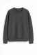 Unisex collegepaita SAREK CREWNECK