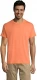 Unisex T-särk Regent