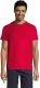 Unisex T-särk Regent