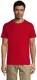 Unisex T-särk Regent